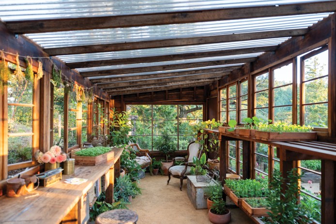Greenhouse Interior Panorama
