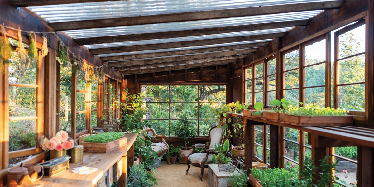 Greenhouse Interior Panorama
