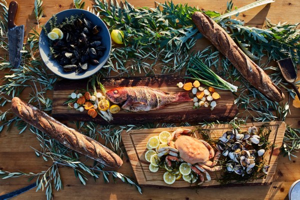 What a Foraging Expert Wants You to Know About Finding (and Eating) Wild Foods This Spring