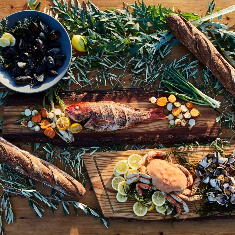 What a Foraging Expert Wants You to Know About Finding (and Eating) Wild Foods This Spring