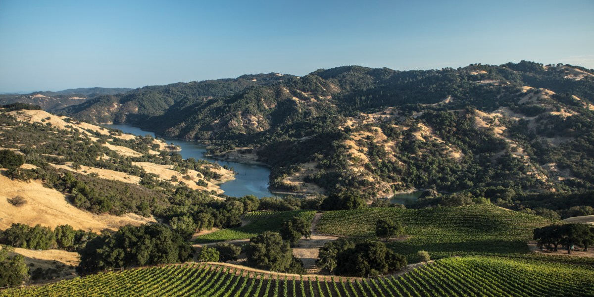 View from the Mauritson Wines vineyard.