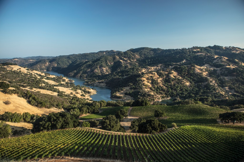 What Is an AVA? This Key Detail Will Make Buying Wine So Much Easier