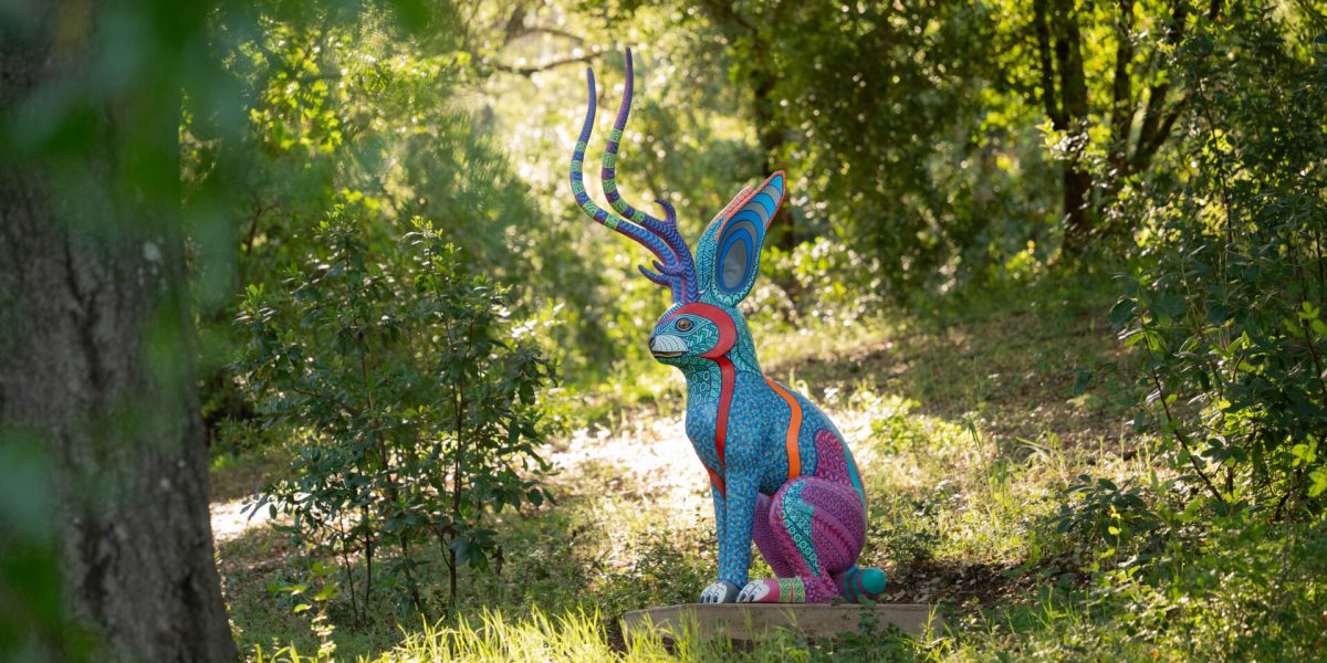 Jacobo and Maria Angeles Spirit Guides Rabbit