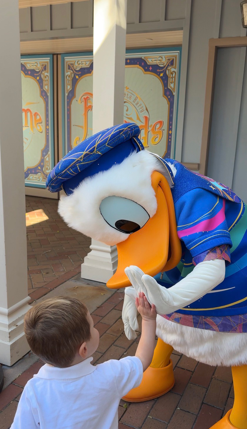 Donald Duck