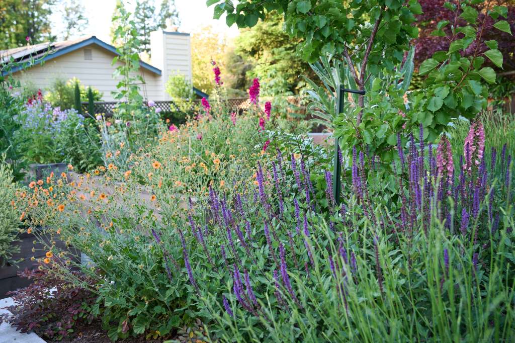 Why Just About Everyone Is Obsessed with 'Lasagna Gardening' Right Now