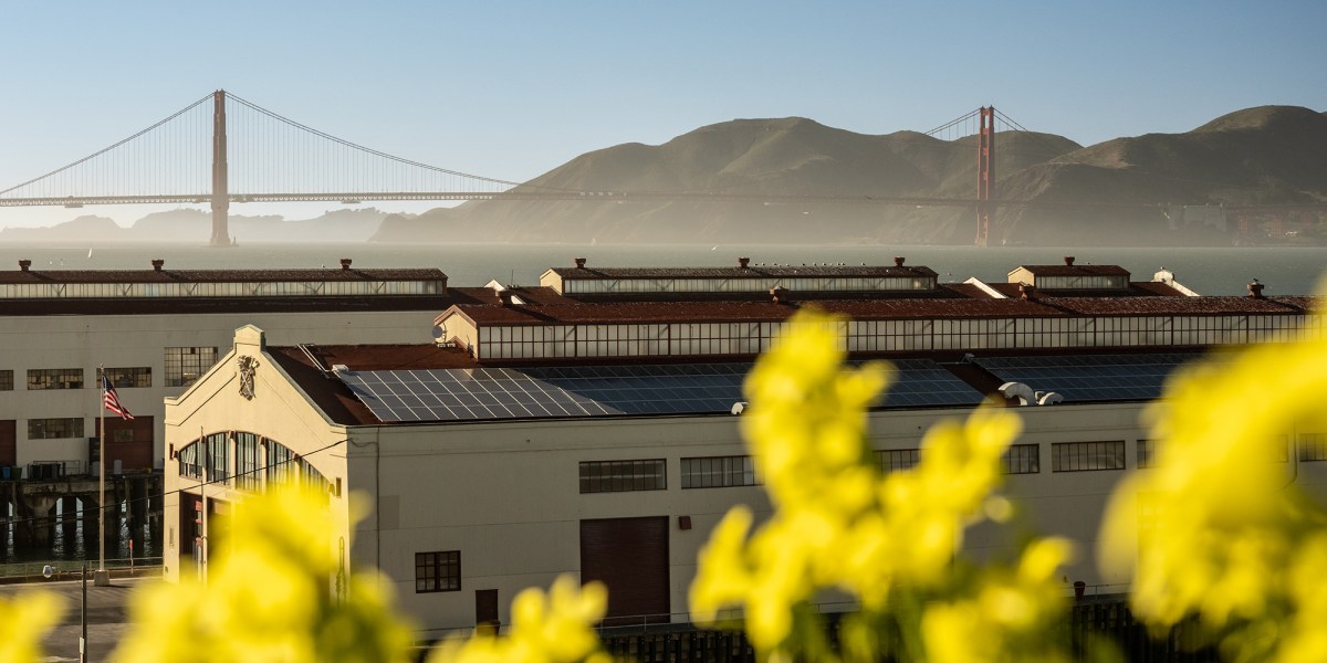 Flowers and Fort Mason warehouses with the Golden Gate Bridge in the distance