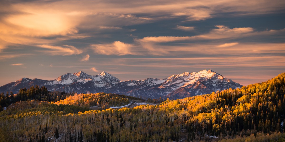 This Is the Best State to Work from Home