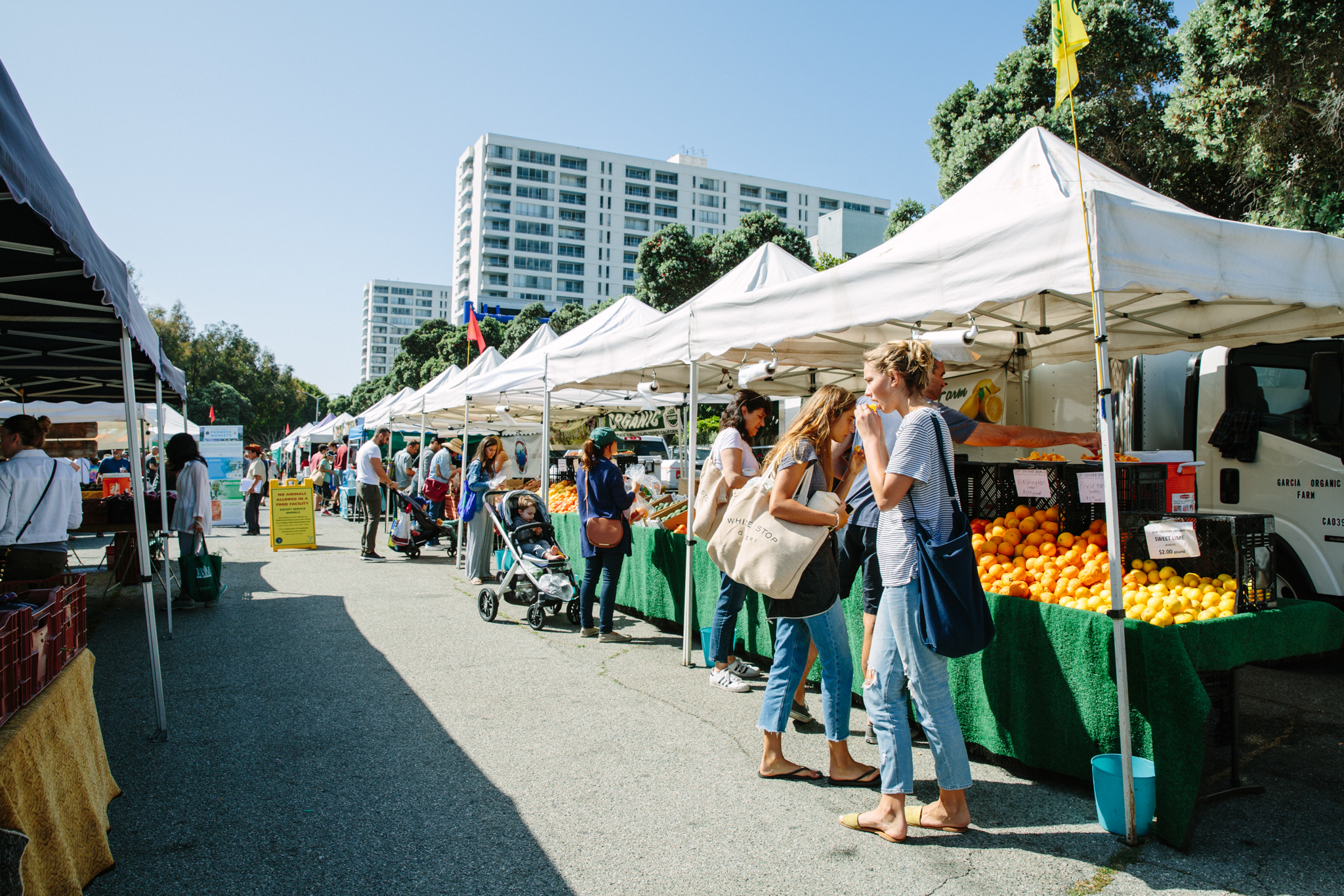 main-street-farmers-market