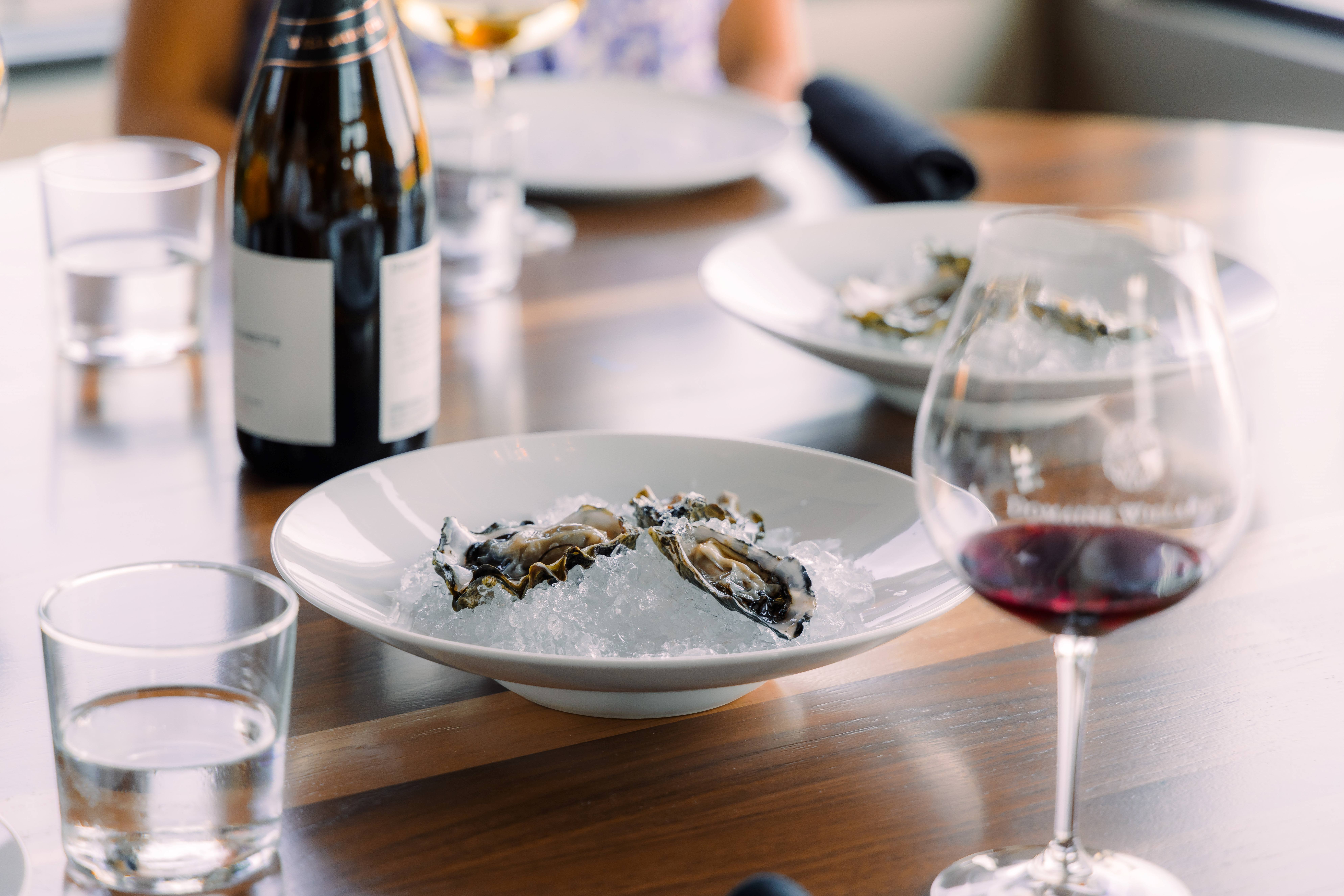 photo-by-zach-mckinley-sproutbox