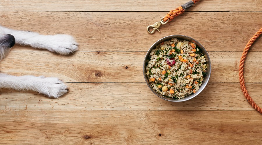 the-farmers-dog-subscription-meal-plan
