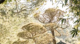 Golden Door Spa exterior