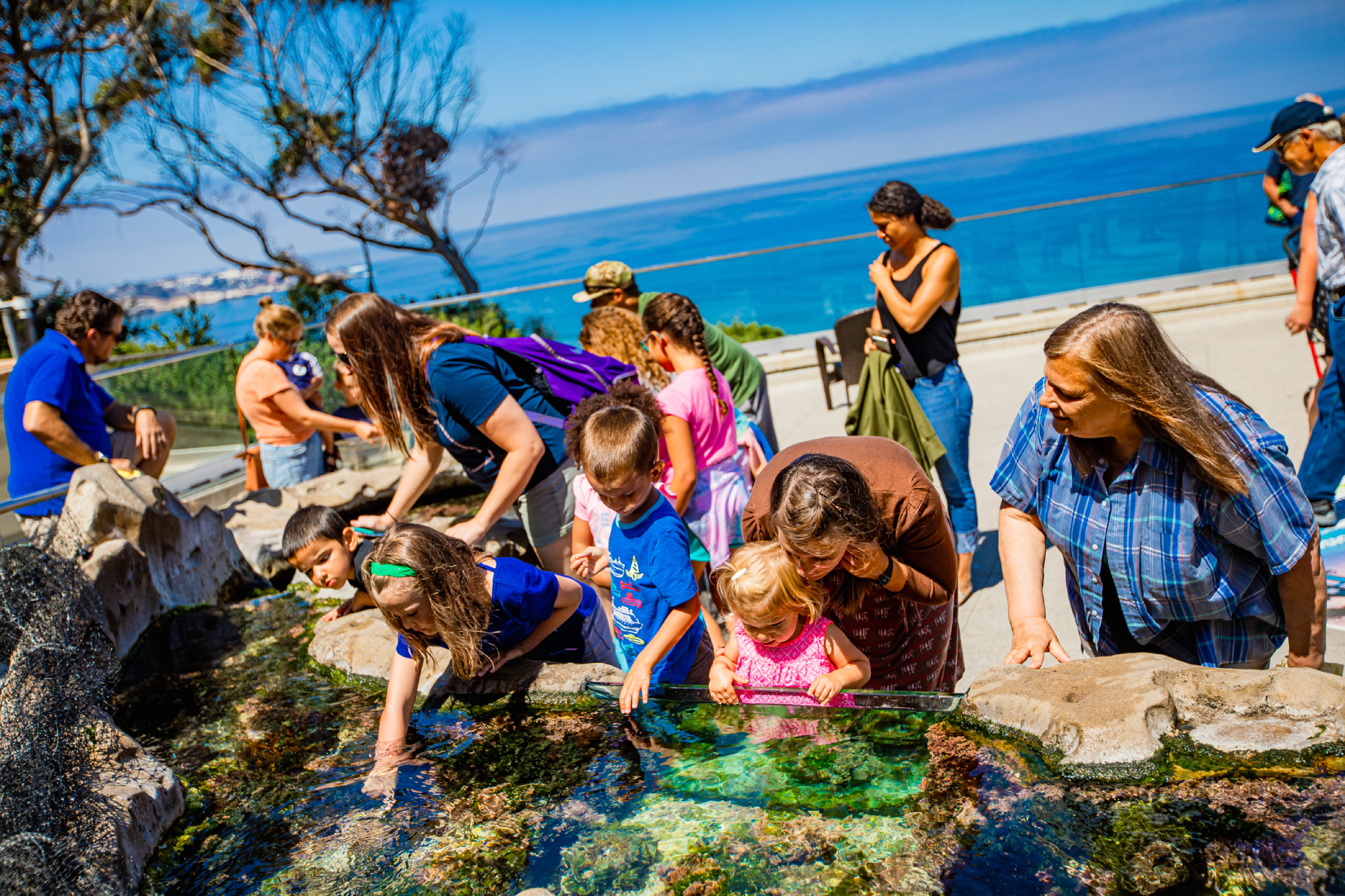 birch-aquarium-guests-interact-with-tide-pool-animals-on-tide-pool-plaza