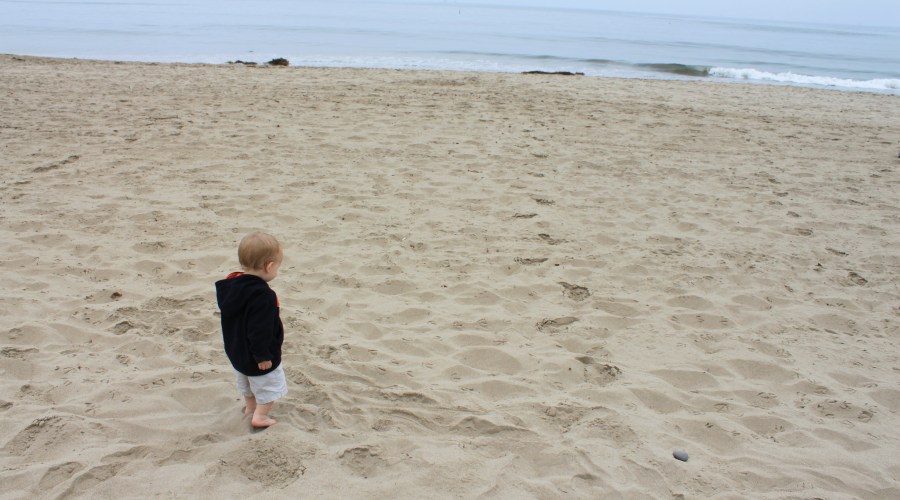 carpinteria-call-it-carp