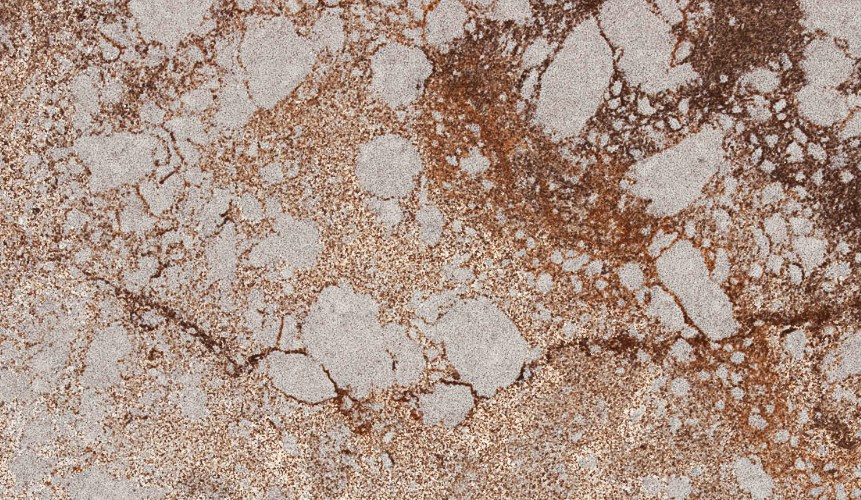 interior-stone