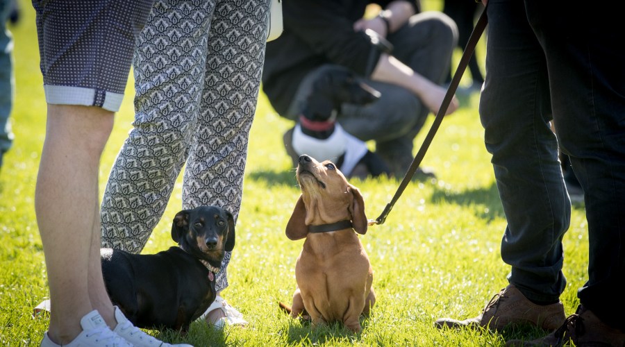 set-some-ground-rules