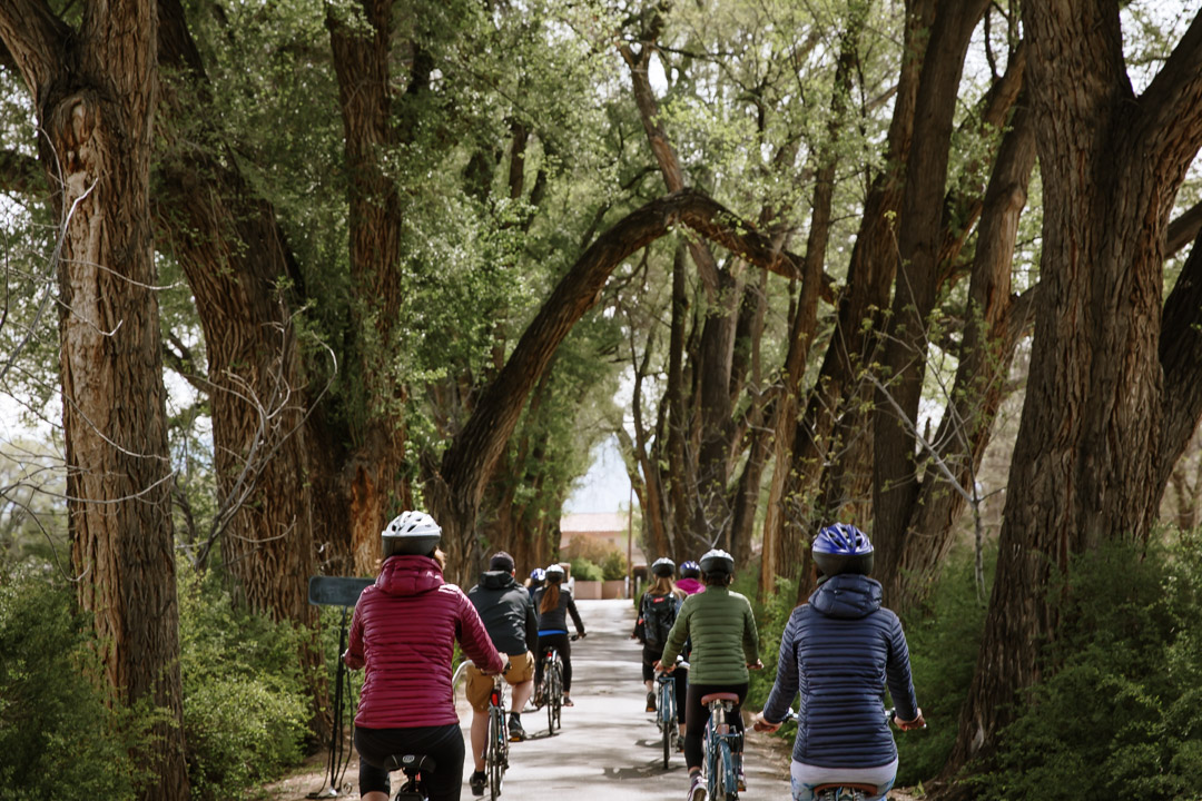 4-12-19-abq-biking-walking-ig-23