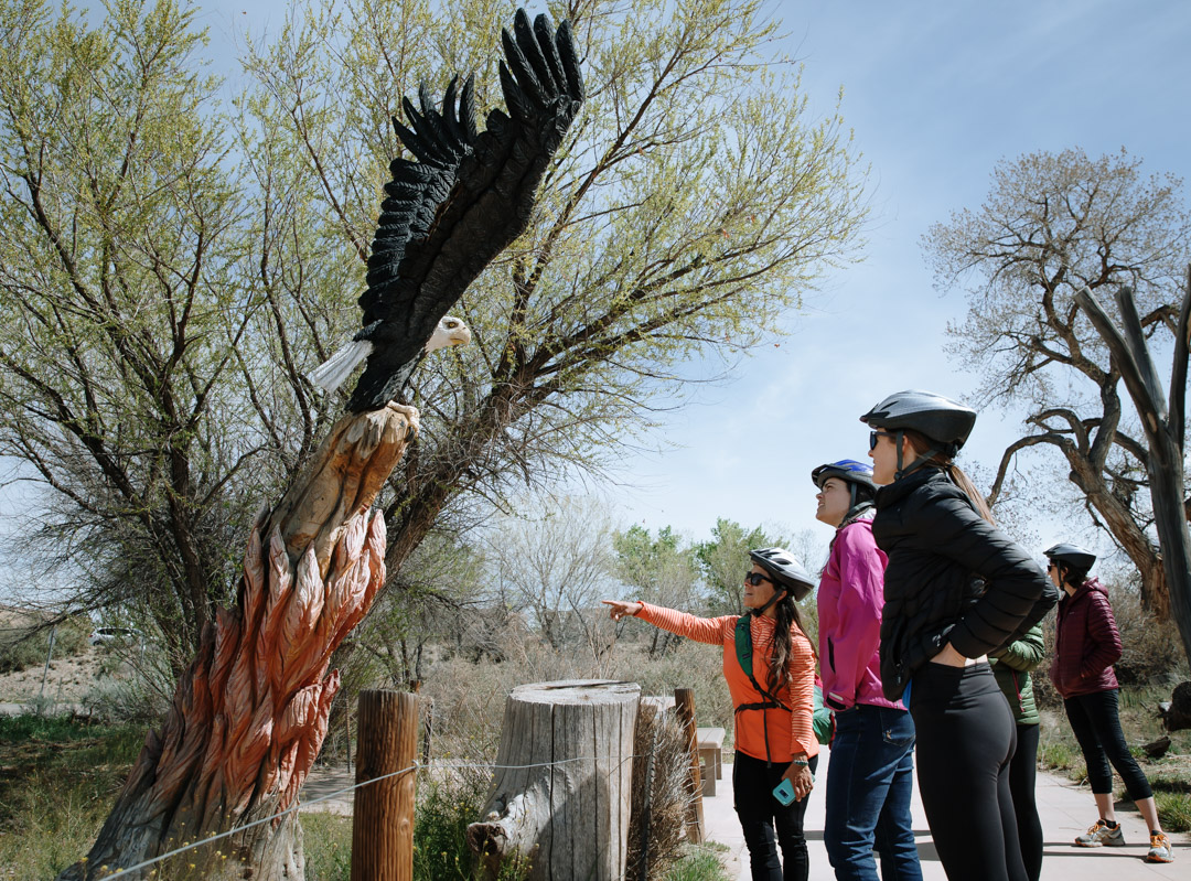 4-12-19-abq-biking-walking-ig-29