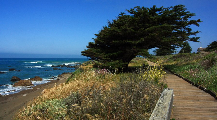 bluff-trails-at-fiscalini-ranch-preserve-cambria-ca