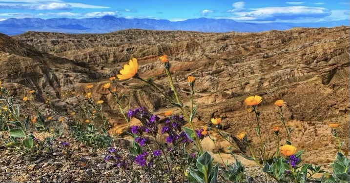 45b6e44d-09a6-4d77-a660-dc11cd34ac17