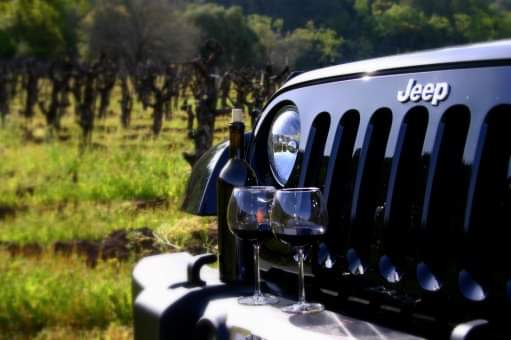 45e80d19-096b-4c12-a7ed-0687d056b4da