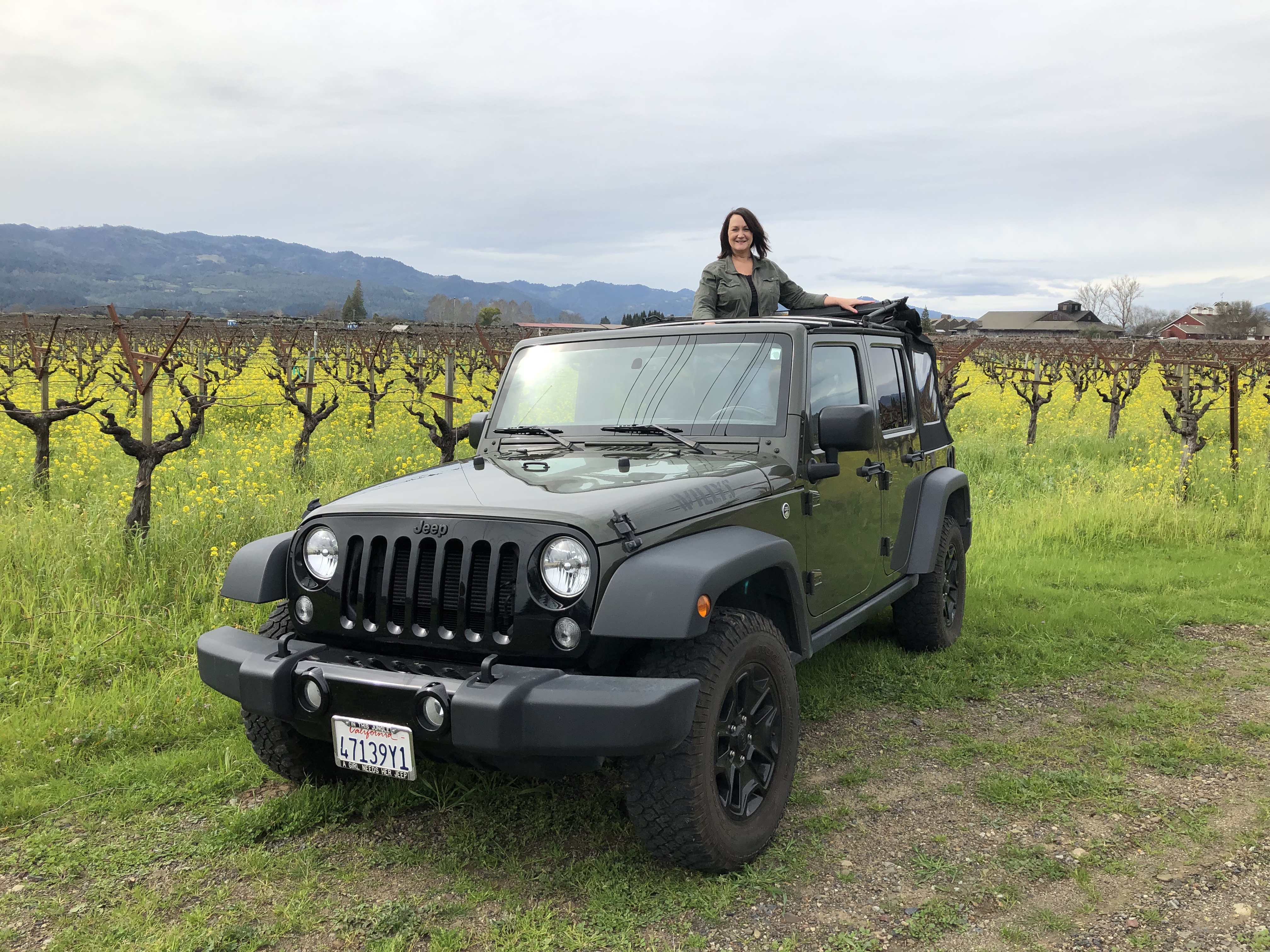 49f0fee8-9a70-47c6-89b7-b5dbef80e383