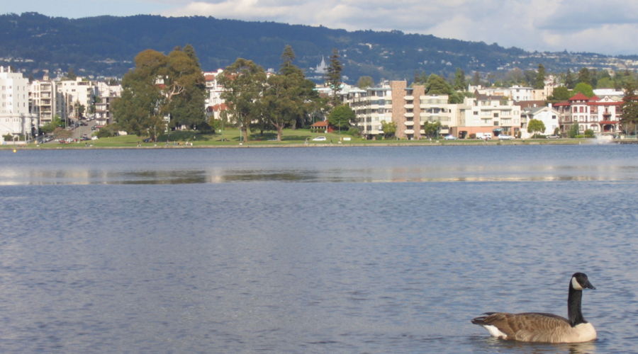 Lake Merritt