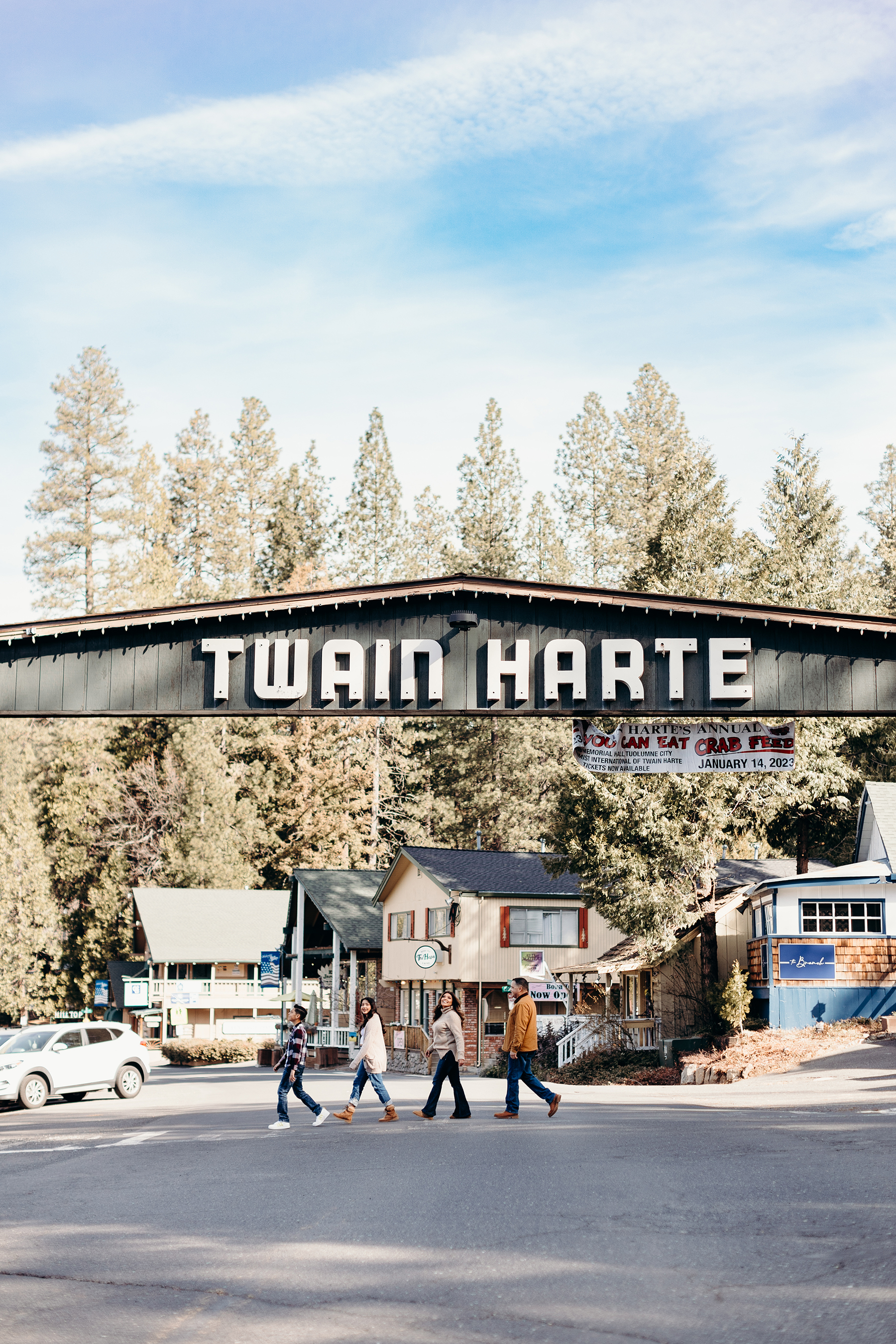 twain-harte-arch