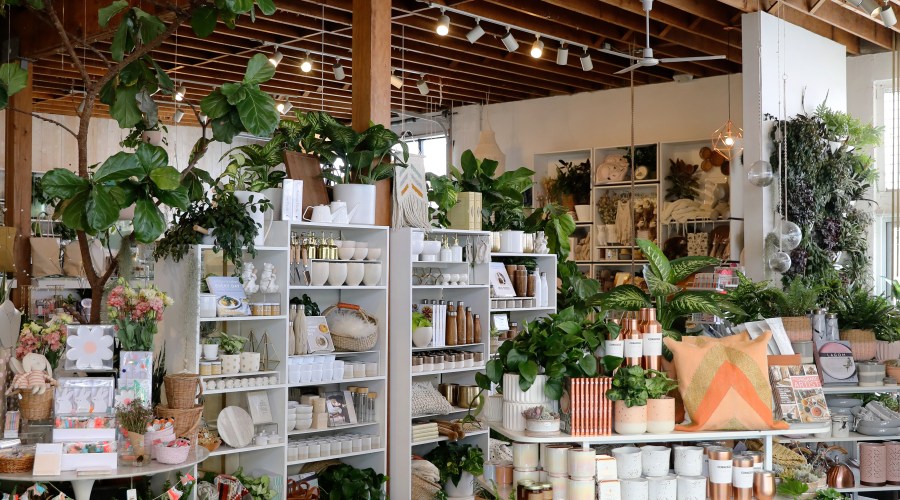 a-day-in-the-neighborhood