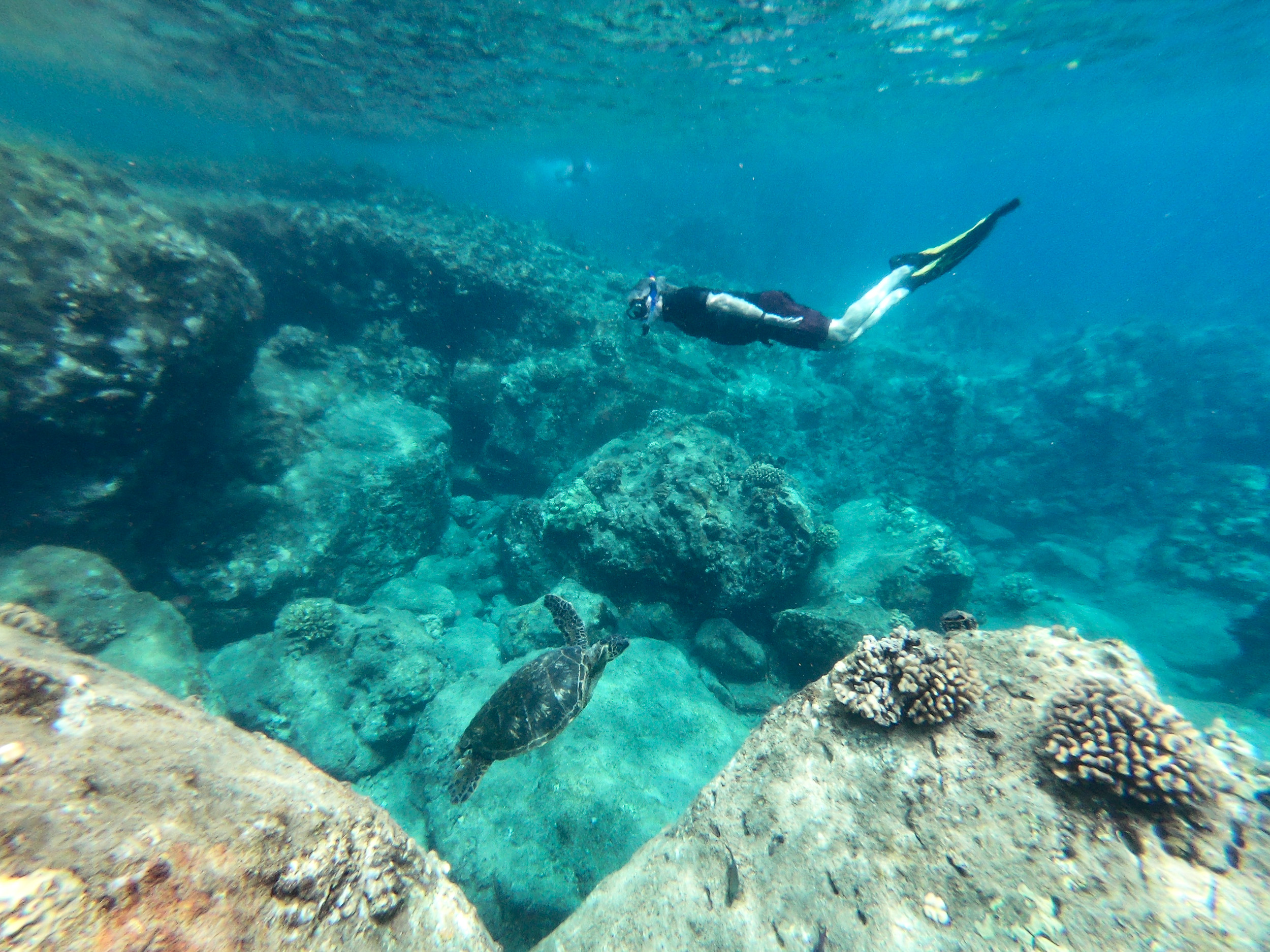 drop-anchor-dive-in-snorkeling-remote-reefs-is-just-one-perk-of-traveling-hawaii-by-small-ship