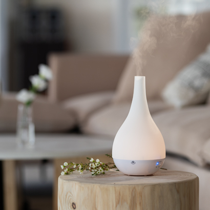Serene House Diffuser