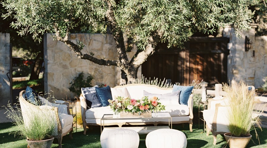 potted-plants-and-flowers