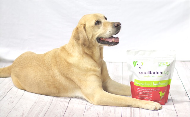 smallbatch-freeze-dried-batches