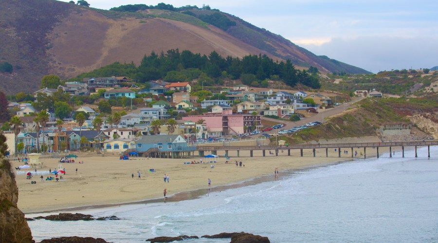 avila-beach-coast-newbie