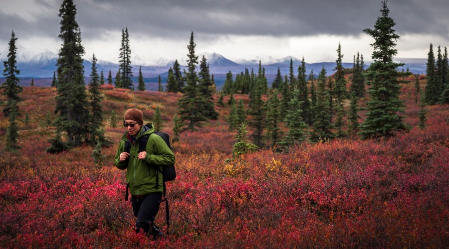 solitude-in-denali-national-park-and-preserve-ak