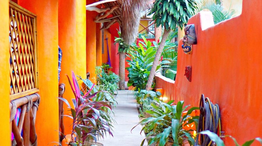 feel-the-sand-between-your-toes-in-sayulita