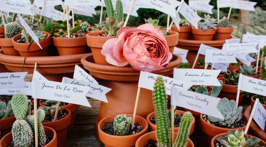 How to Incorporate Potted Plants Into Your Wedding (and Home After!)
