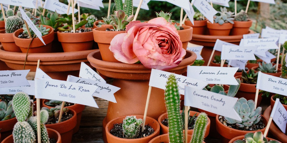 Potted Plants Seating Arrangement