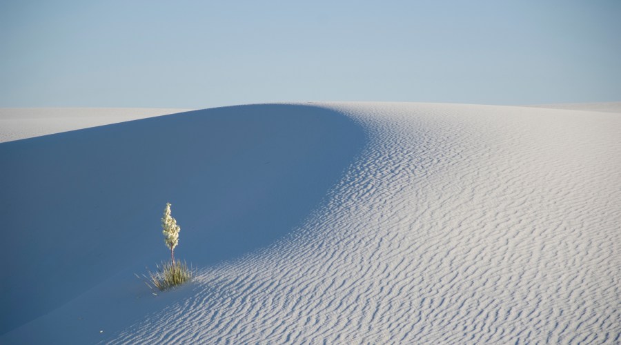 write-your-message-in-the-sand-at-white-sand-national-monument-new-mexico