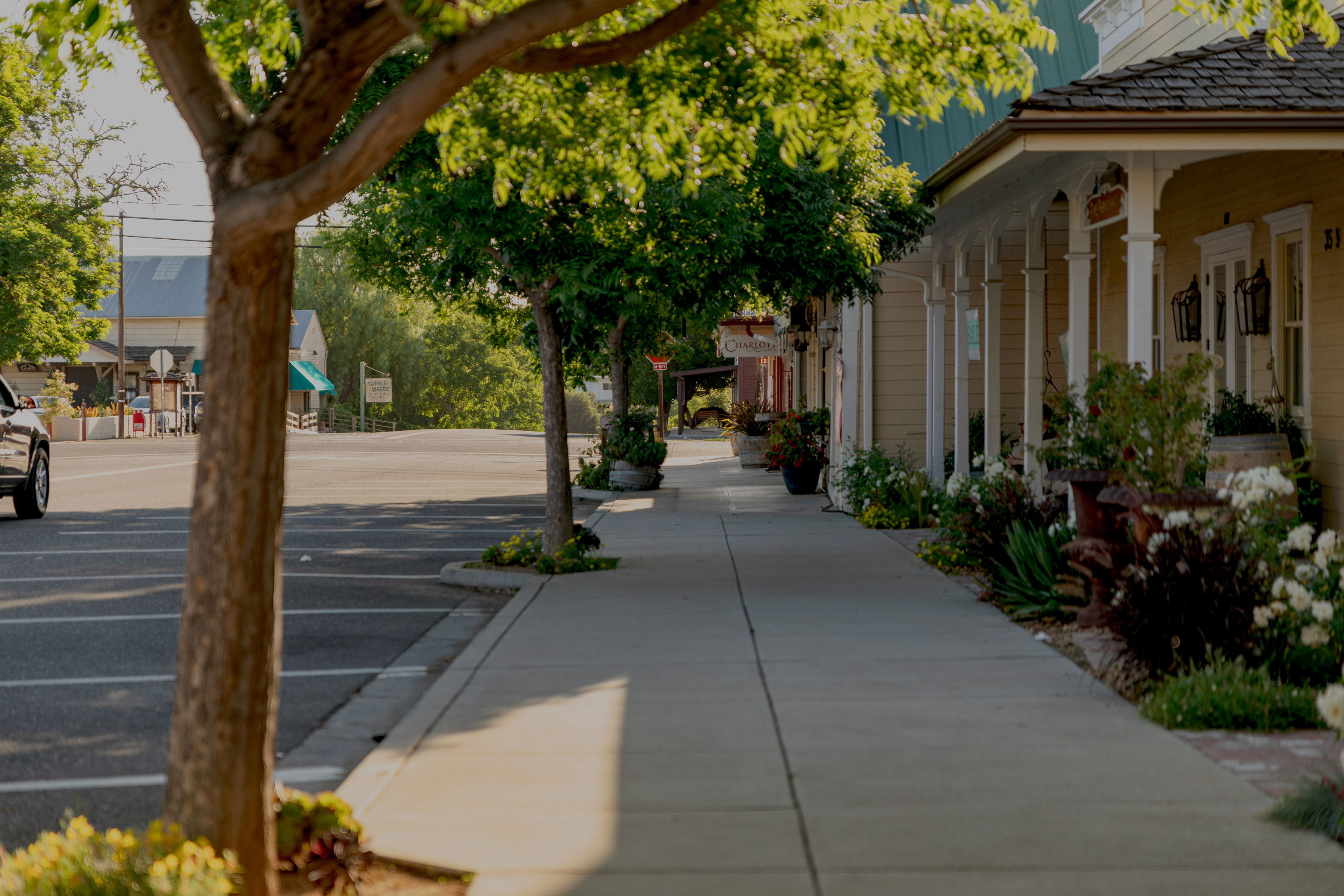 businesses-along-sagunto-street-in-downtown-santa-ynez