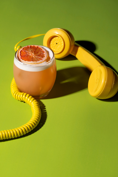 the-french-butterfly