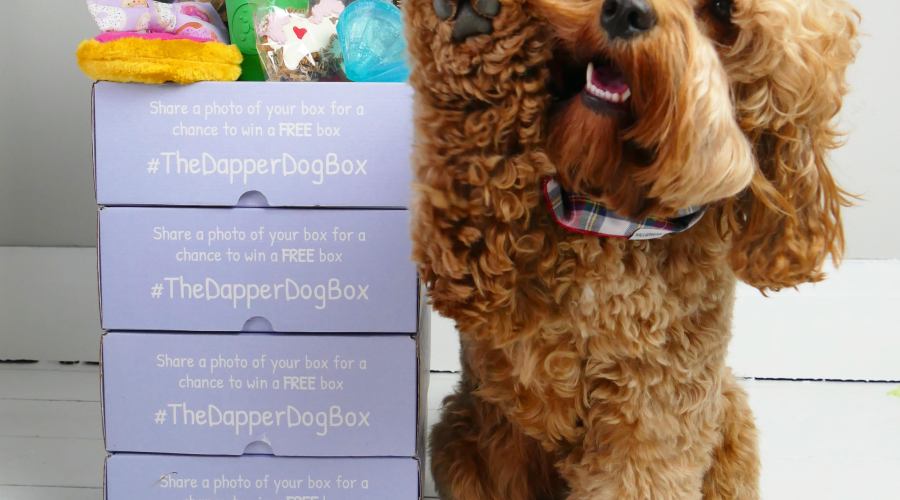 the-dapper-dog-box-subscription