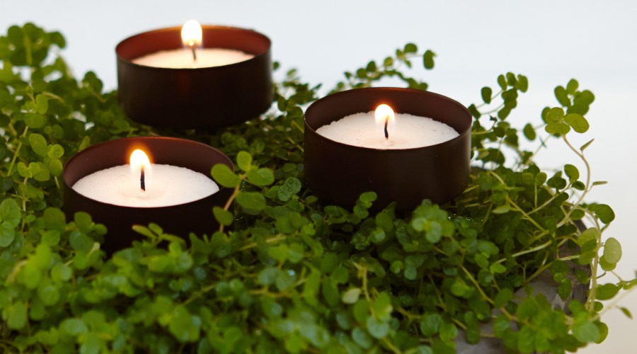 this-little-light-of-mine