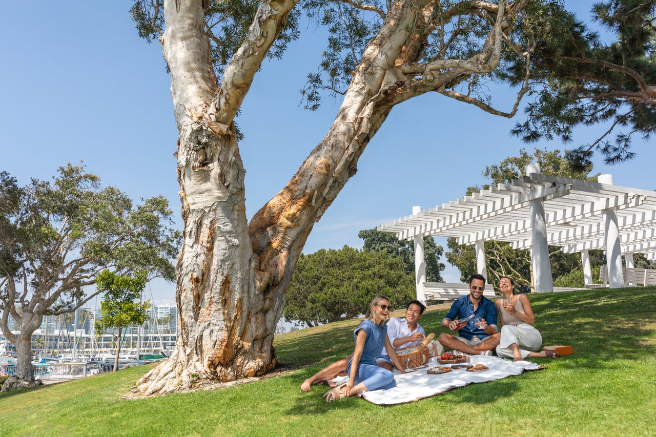 picnic-by-the-sea-in-marina-del-rey
