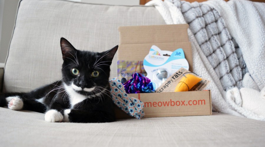 meowbox-subscription