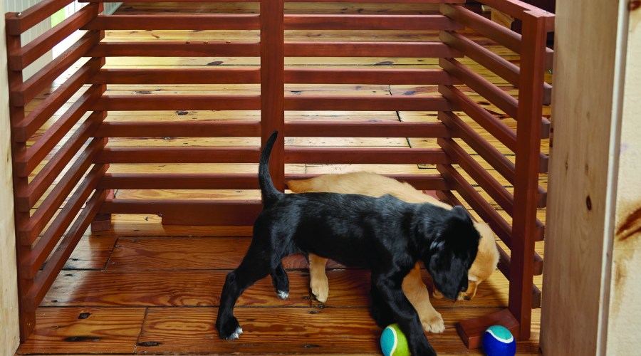 orvis-fold-up-dog-gate