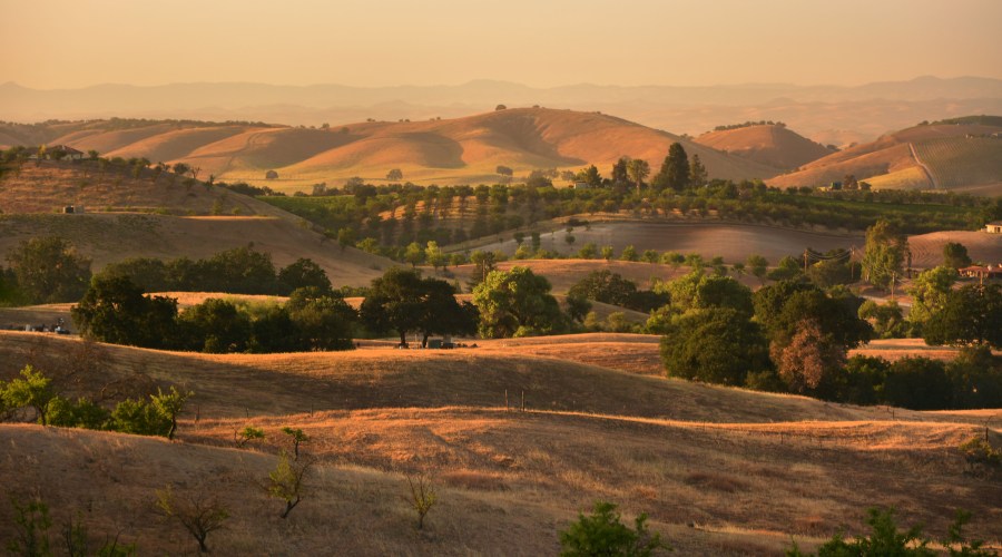 paso-robles-new-napa