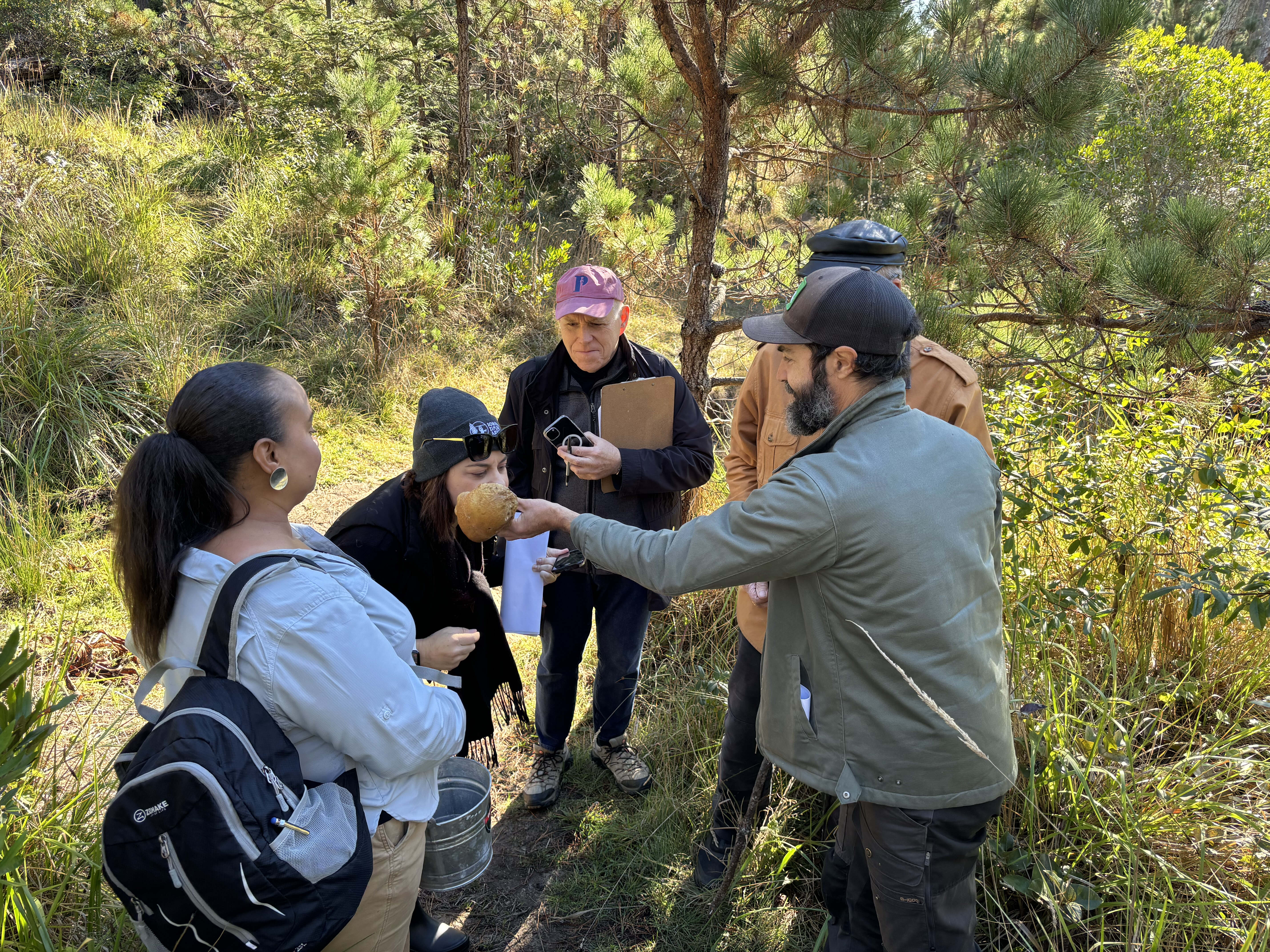 foraging-experience