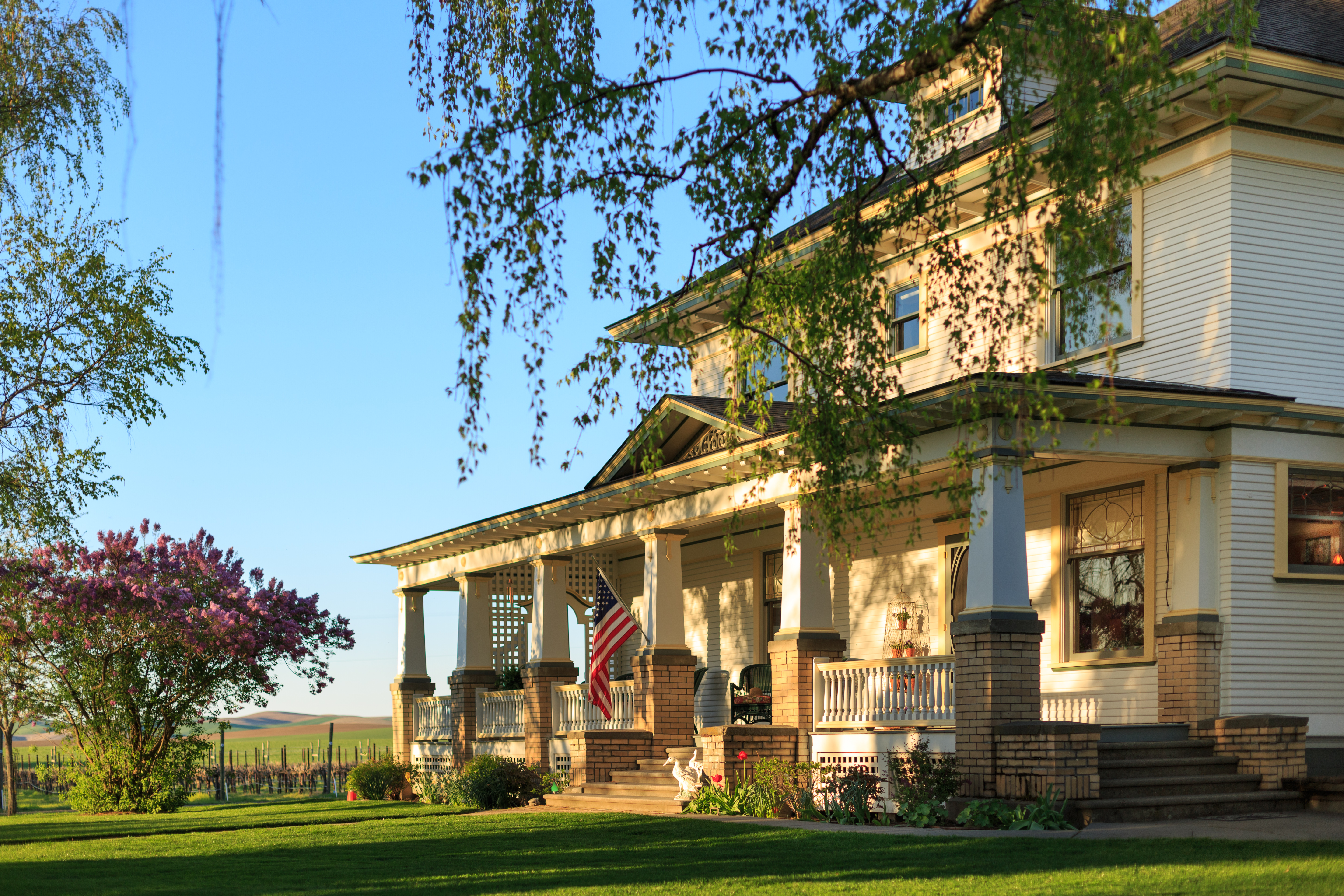 abeja-mainhouse-exteriors-3-1