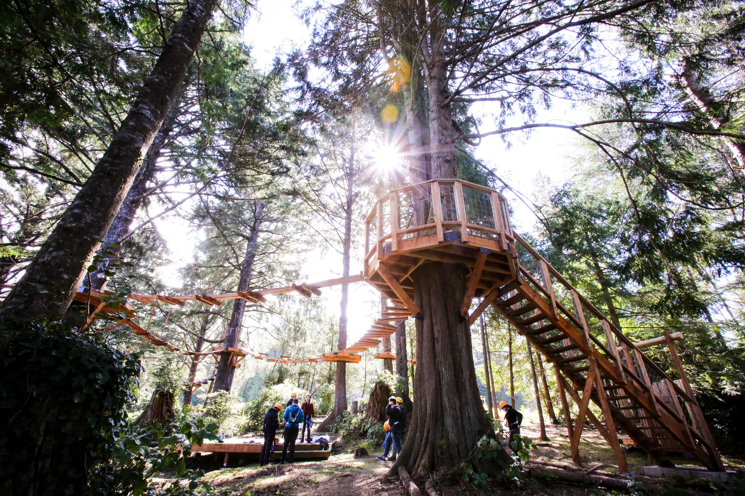 aerial-park