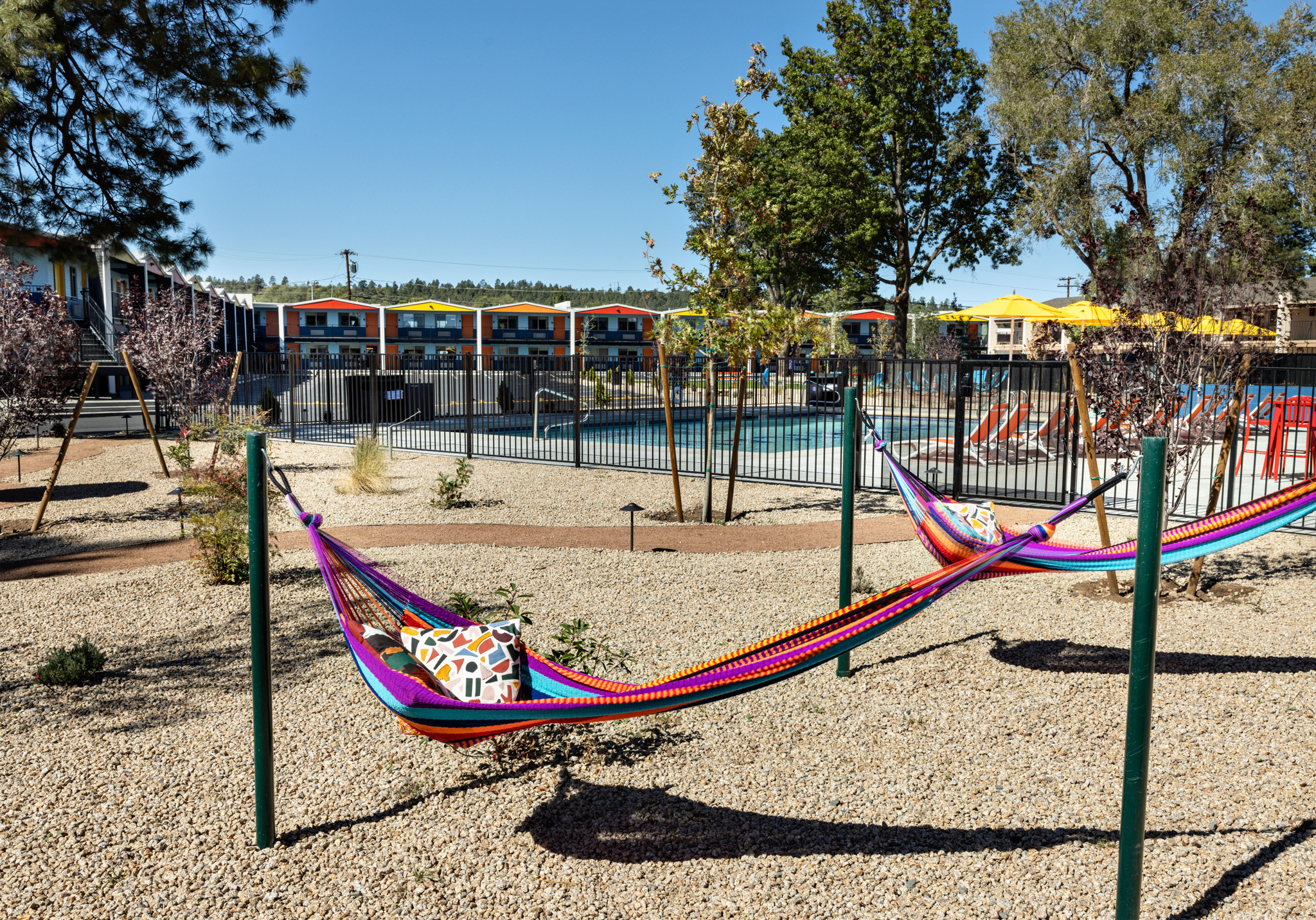 backyard-hammocks-at-americana-motor-hotel-on-route-66-in-flagstaff